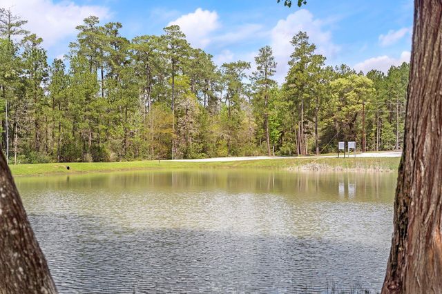 4a-11-55 Sundog Road, Huntsville, TX 77340