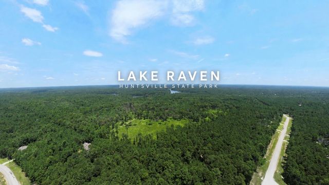 4a-11-55 Sundog Road, Huntsville, TX 77340