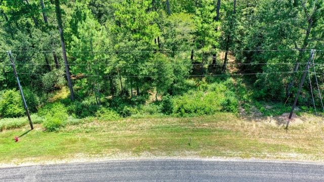 4a-11-55 Sundog Road, Huntsville, TX 77340