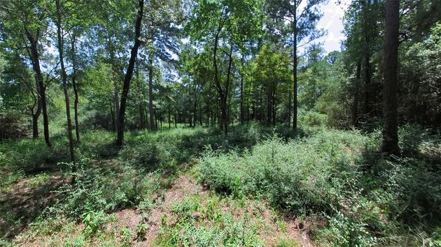 4a-11-55 Sundog Road, Huntsville, TX 77340