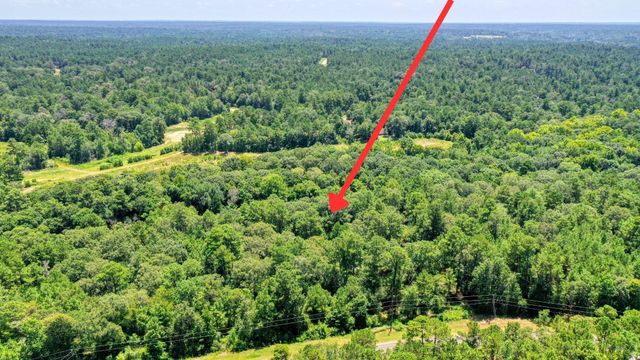 4a-11-55 Sundog Road, Huntsville, TX 77340