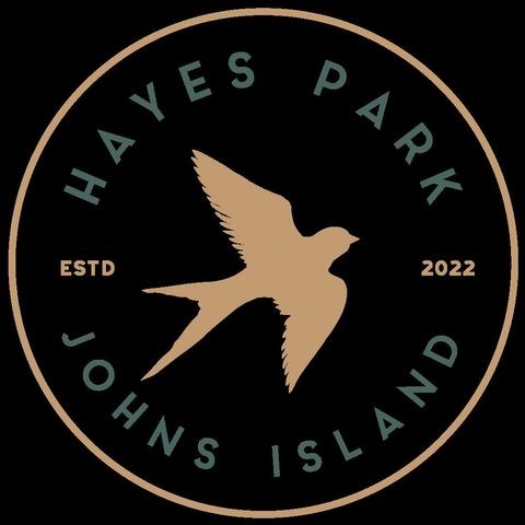 313 Livewell Court Lot 42, Johns Island, SC 29455