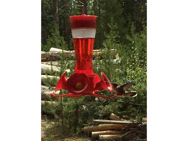 Address unavailable.