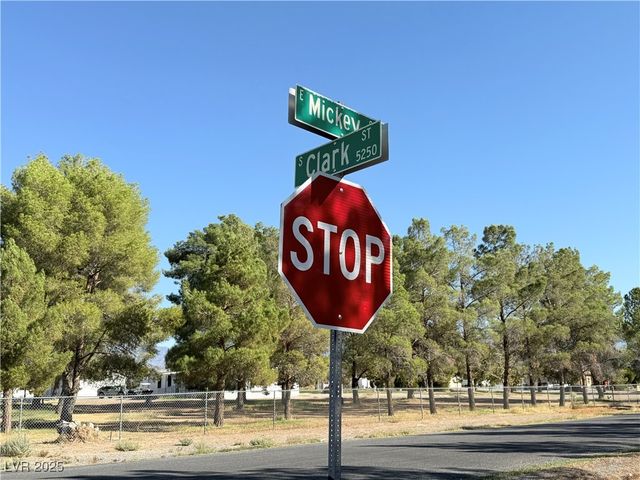 1230 East Mickey Street, Pahrump, NV 89048