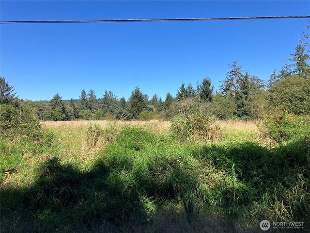 11111 Pan Handle Road, Hoquiam, WA 98550