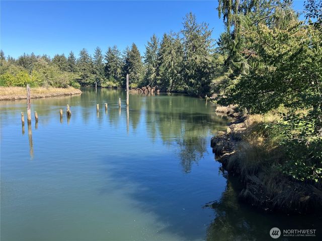 11111 Pan Handle Road, Hoquiam, WA 98550