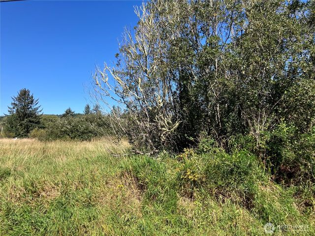 11111 Pan Handle Road, Hoquiam, WA 98550