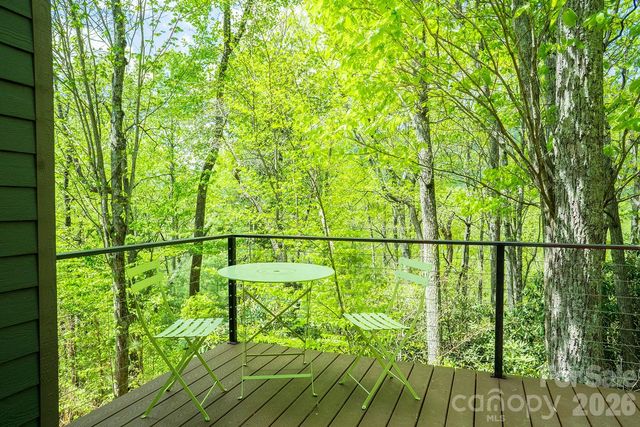 26 Robinson Creek Road, Asheville, NC 28803