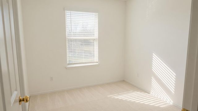 313 Redonda DR, Liberty Hill, TX 78642
