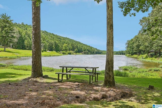 1097 LONG LEAF LAKE DRIVE, Helena, AL 35022