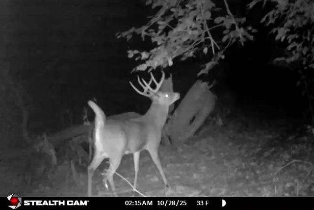 20798 White Oaks Road, Morrison, IL 61270