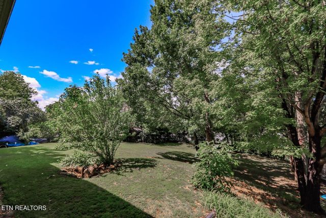 141 Hiola St, Newport, TN 37821