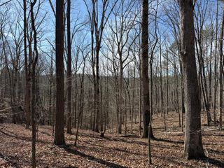 131 Nicholson Lane, Talking Rock, GA 30175