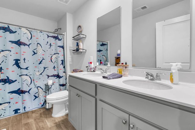 301 Black Birch Drive, Summerville, SC 29486