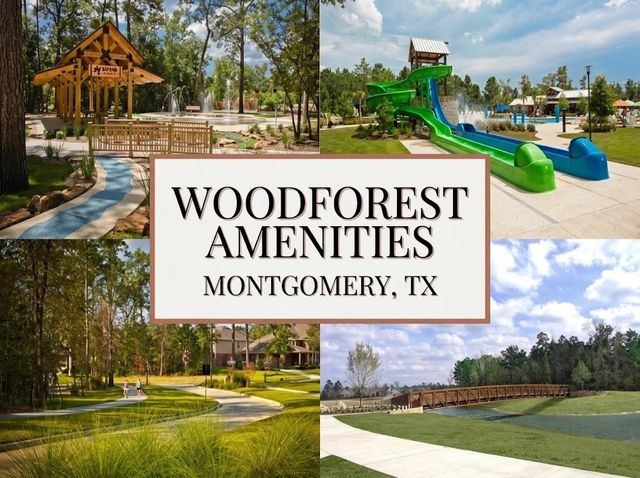 115 Red Eagle Court, Montgomery, TX 77316