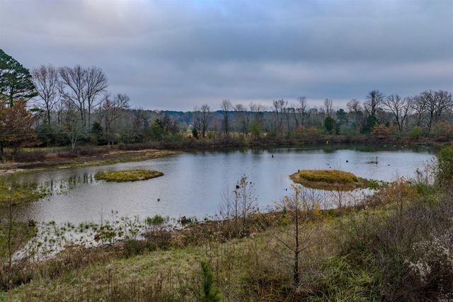 11700 AVILLA WEST, Alexander, AR 72002