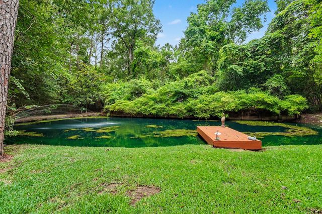 4824 Holly Lane E, Montgomery, TX 77316