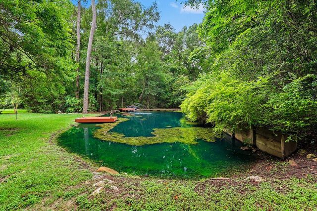 4824 Holly Lane E, Montgomery, TX 77316
