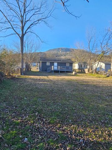 1317 S Cedar Avenue, South Pittsburg, TN 37380