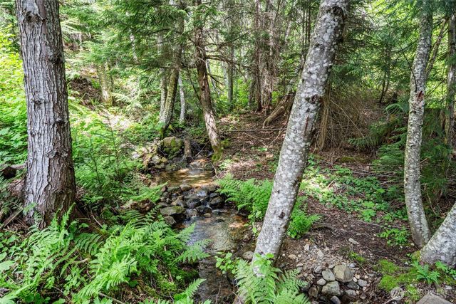 281 Wilderness Lane, Easton, WA 98925
