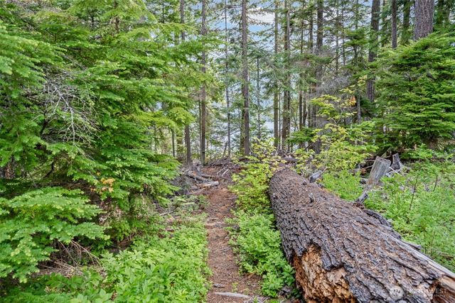 281 Wilderness Lane, Easton, WA 98925