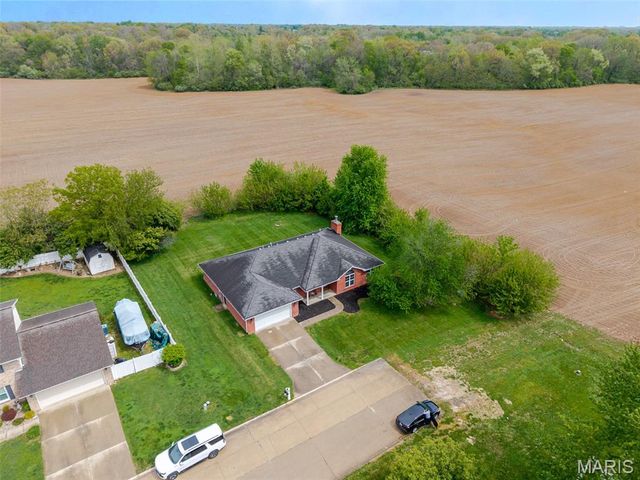 204 Piney Woods Drive, Swansea, IL 62226