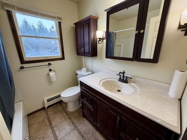 16351 S Oakley Road, Chesaning Twp, MI 48616