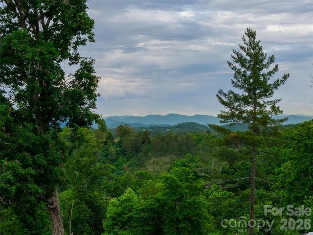 21 Joy Hughes Lane, Leicester, NC 28748