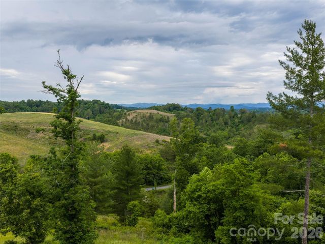 21 Joy Hughes Lane, Leicester, NC 28748