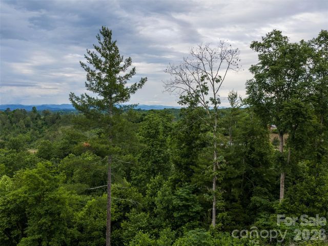 21 Joy Hughes Lane, Leicester, NC 28748