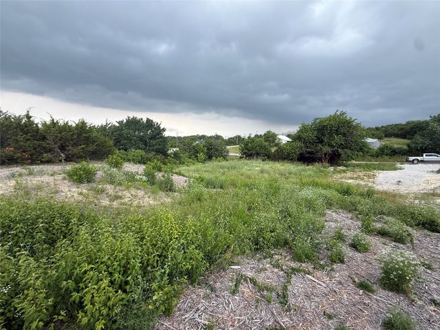 113 Denton Heights Lane, Weatherford, TX 76085