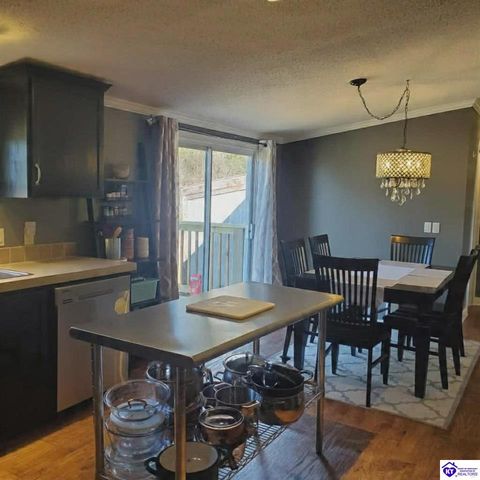 4055 N Long Grove Road, Cecilia, KY 42724