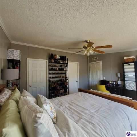 4055 N Long Grove Road, Cecilia, KY 42724