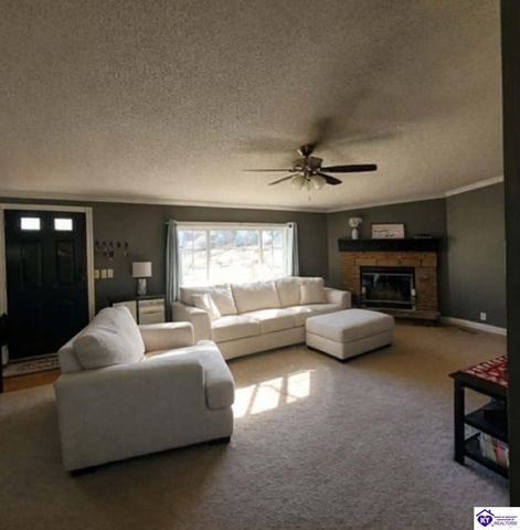 4055 N Long Grove Road, Cecilia, KY 42724