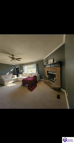 4055 N Long Grove Road, Cecilia, KY 42724