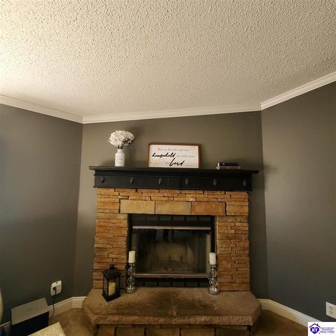 4055 N Long Grove Road, Cecilia, KY 42724