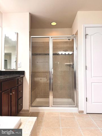 23612 RICHLAND GROVE DR, Brambleton, VA 20148