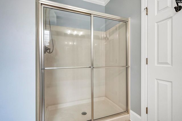 320 Forty Love Point, Chapin, SC 29036