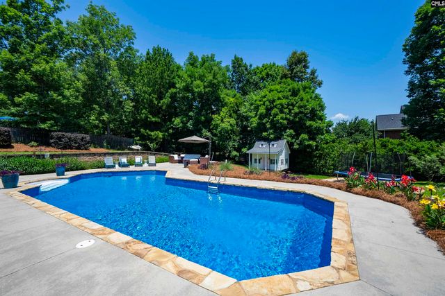 320 Forty Love Point, Chapin, SC 29036