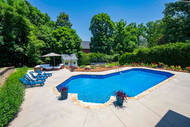 320 Forty Love Point, Chapin, SC 29036