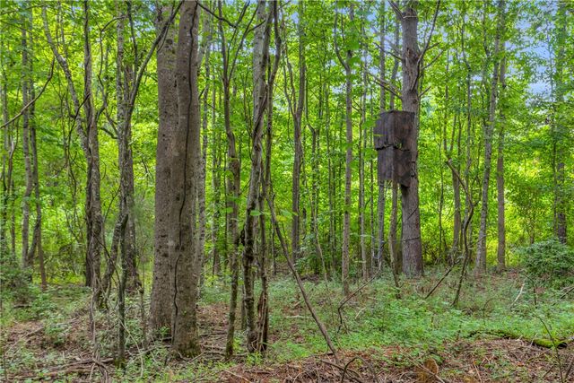 00 Old Norris Road, Liberty, SC 29657