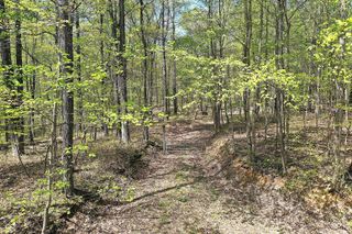 0 Possom Trot Road, Unionville, IN 47468
