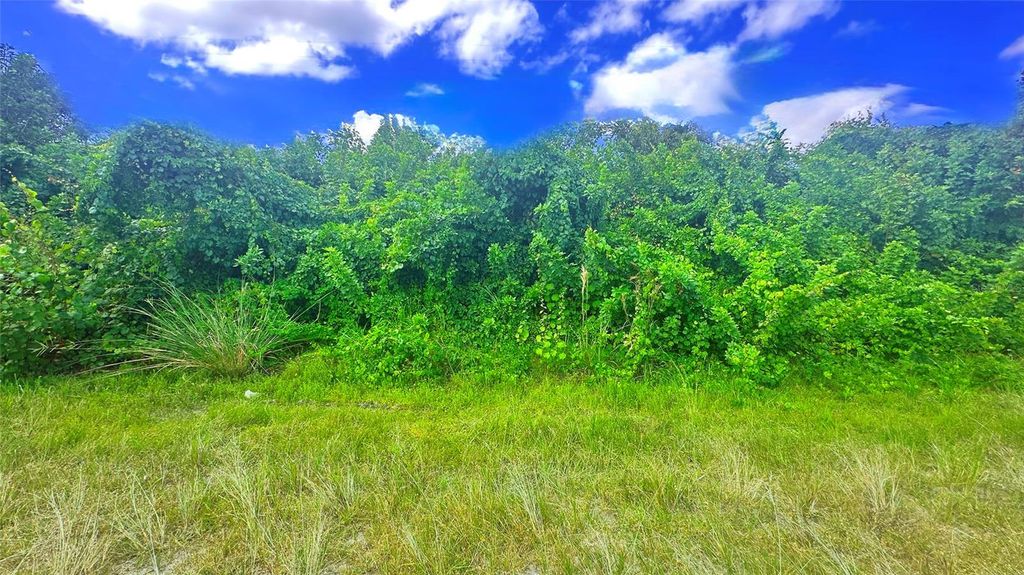 10 SW 24TH AVENUE, Cape Coral, FL 33991