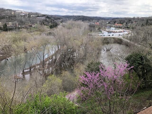 530 Taneycomo Hill Drive, Hollister, MO 65672