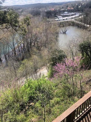 530 Taneycomo Hill Drive, Hollister, MO 65672