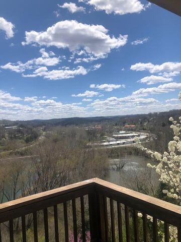 530 Taneycomo Hill Drive, Hollister, MO 65672