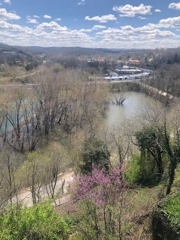 530 Taneycomo Hill Drive, Hollister, MO 65672