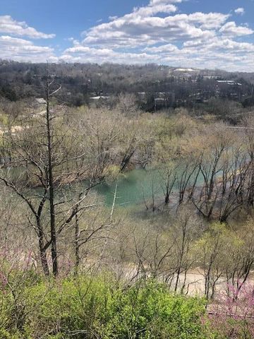 530 Taneycomo Hill Drive, Hollister, MO 65672