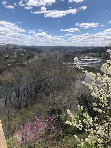 530 Taneycomo Hill Drive, Hollister, MO 65672