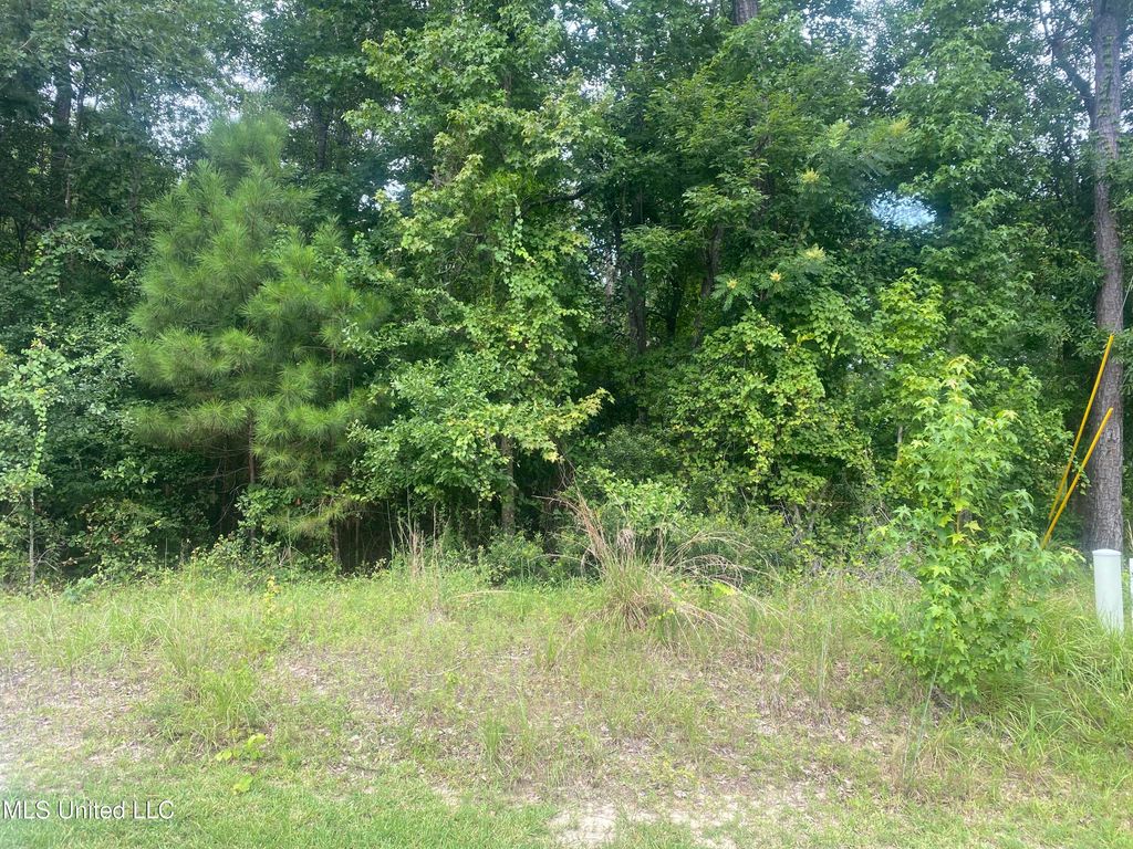 N Diamondhead Drive, Diamondhead, MS 39525